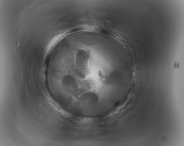 X0000111210149200907011453