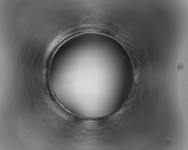 X0000111210150200907011453