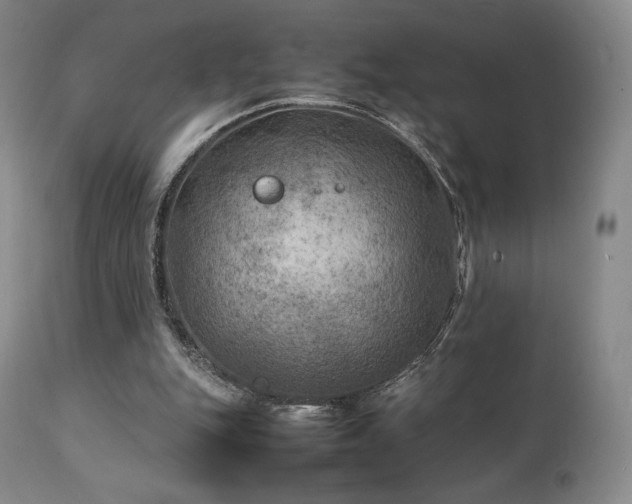 X0000111210151200907011453