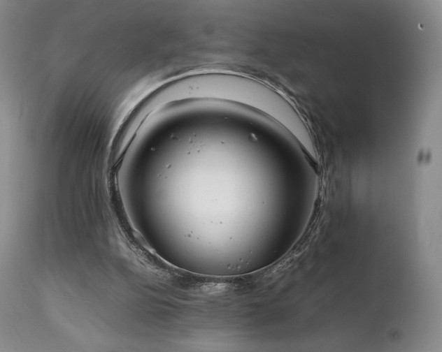 X0000111210152200907011453