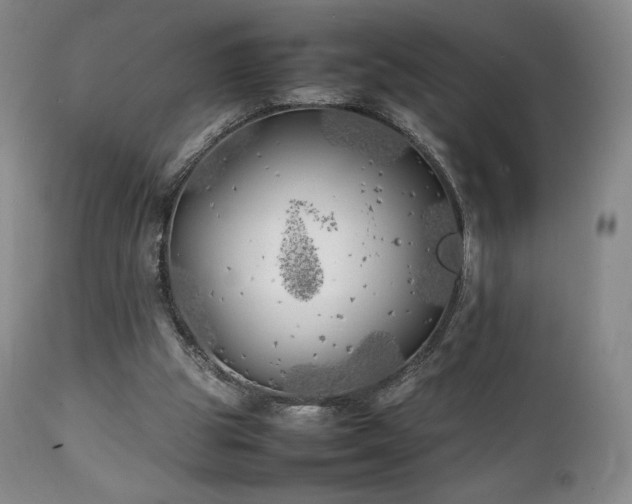 X0000111210153200907011453