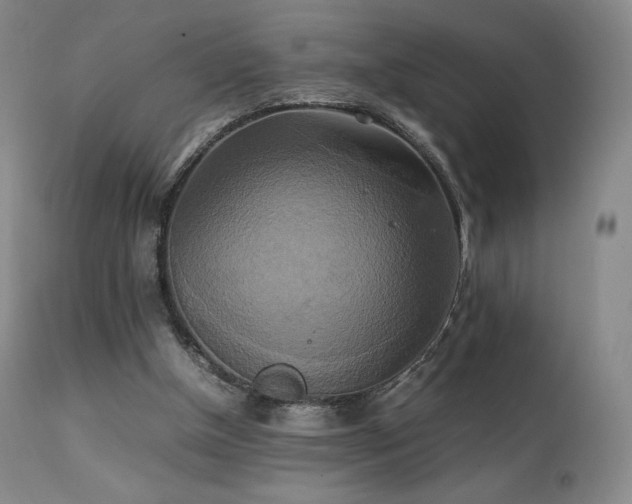 X0000111210154200907011453