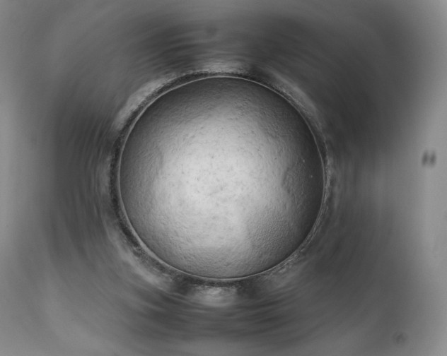 X0000111210155200907011453