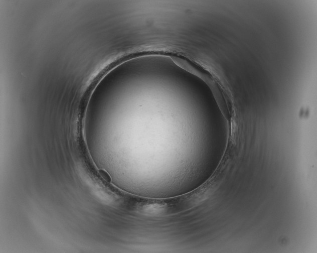 X0000111210156200907011453