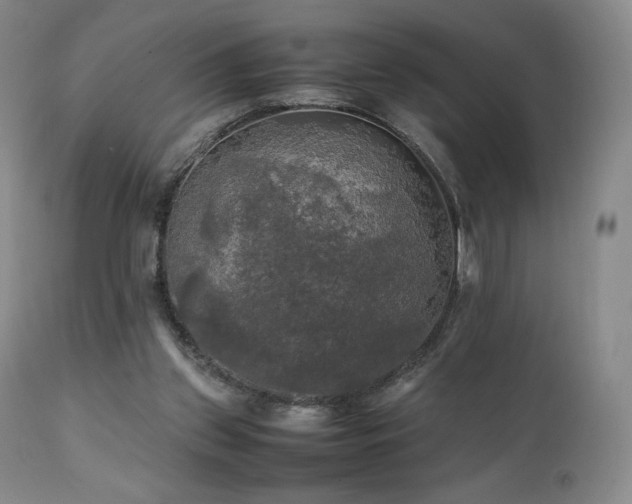 X0000111210157200907011453