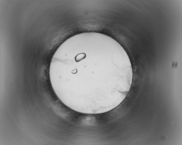 X0000111210162200907011453