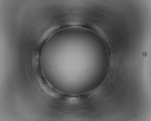 X0000111210163200907011453