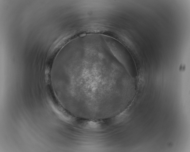 X0000111210166200907011453