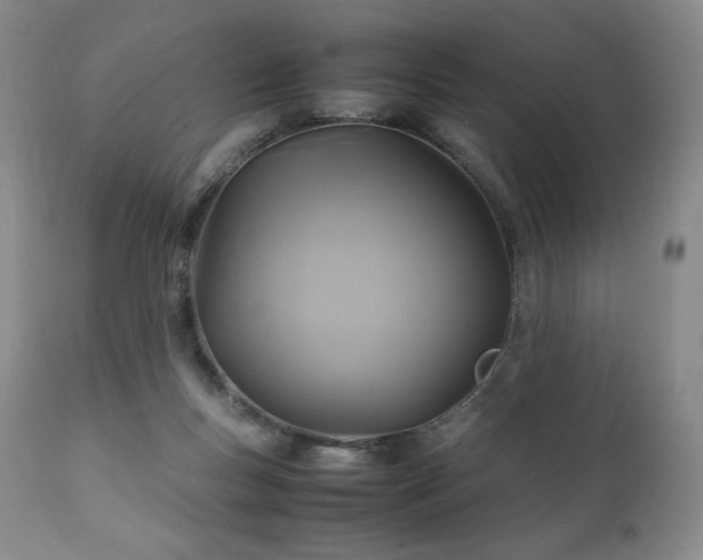 X0000111210167200907011453