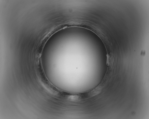 X0000111210168200907011453