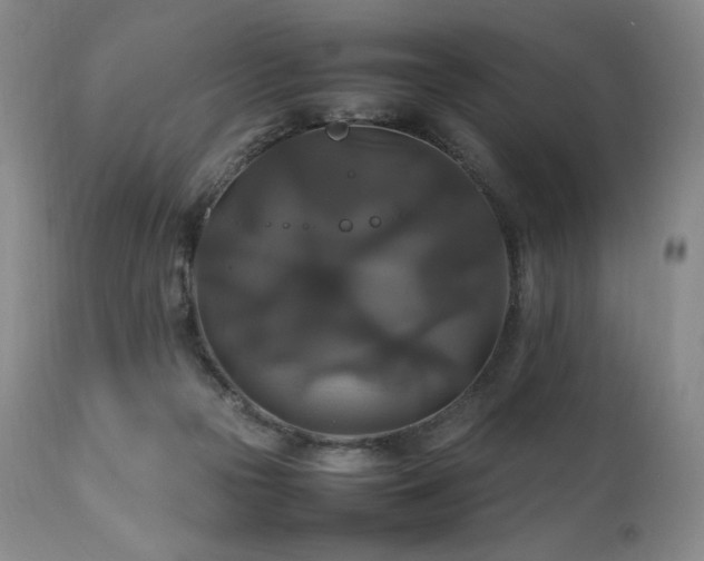 X0000111210169200907011454