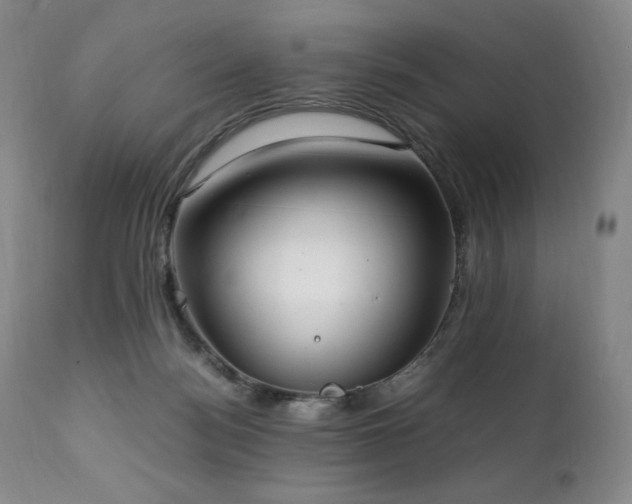 X0000111210172200907011454