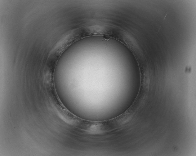 X0000111210173200907011454