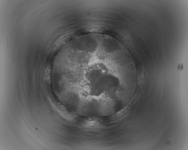 X0000111210175200907011454