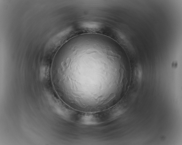 X0000111210177200907011454