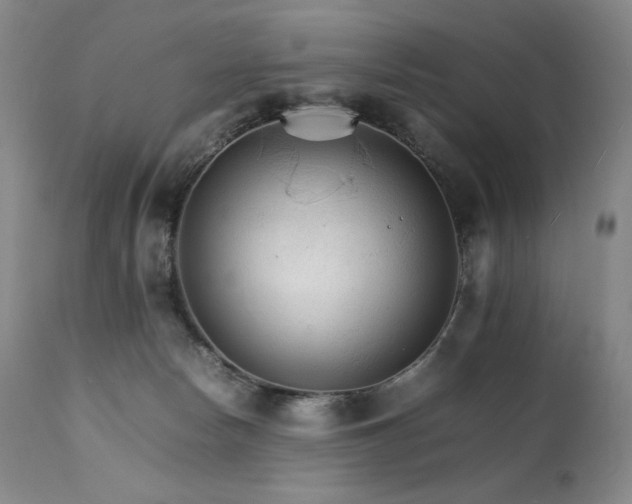 X0000111210178200907011454