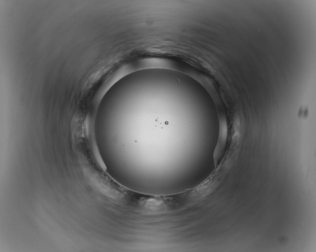 X0000111210180200907011454