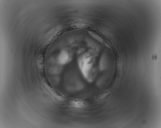 X0000111210181200907011454