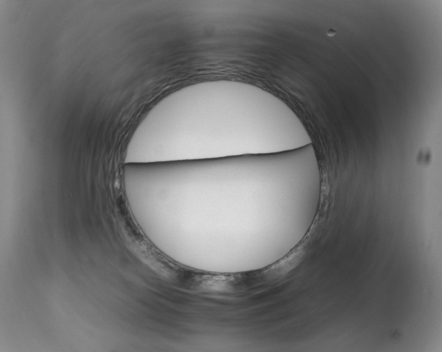 X0000111210182200907011454