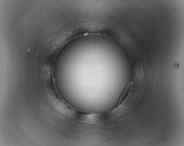 X0000111210184200907011454