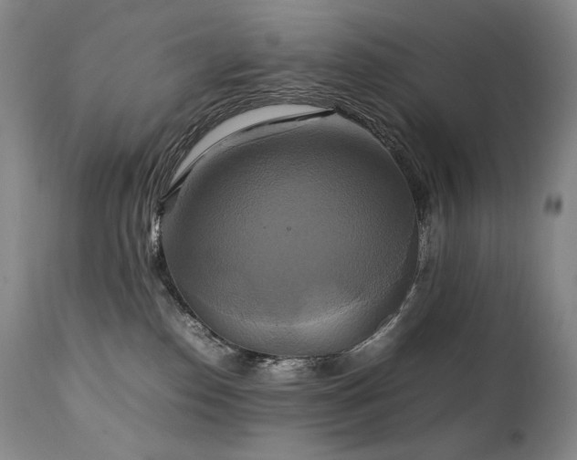 X0000111210186200907011454