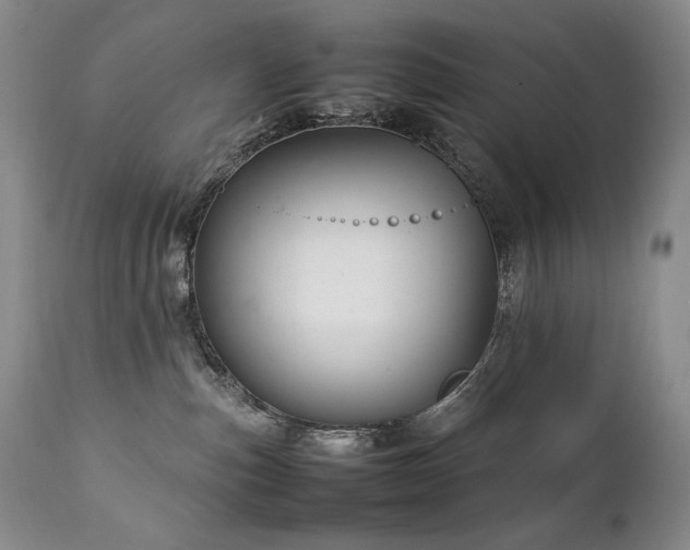 X0000111210187200907011454