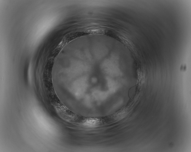 X0000111210189200907011454