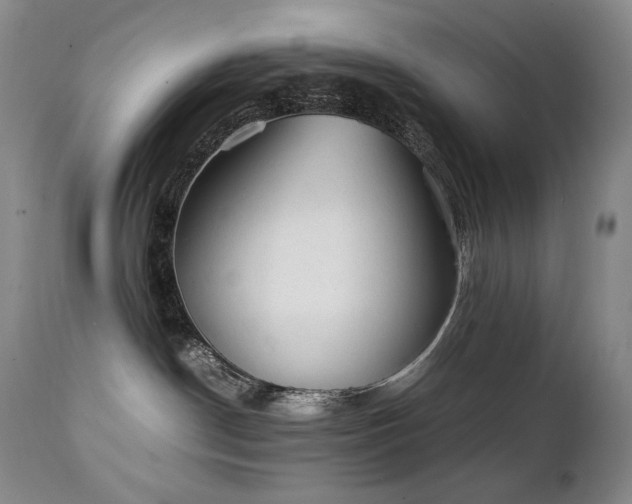 X0000111210190200907011454