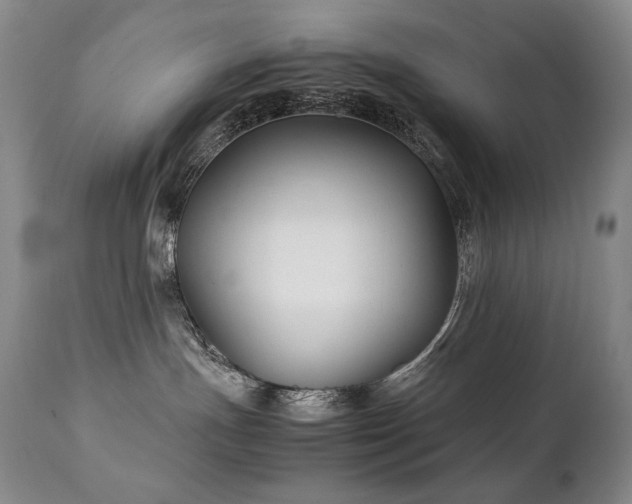 X0000111210191200907011454