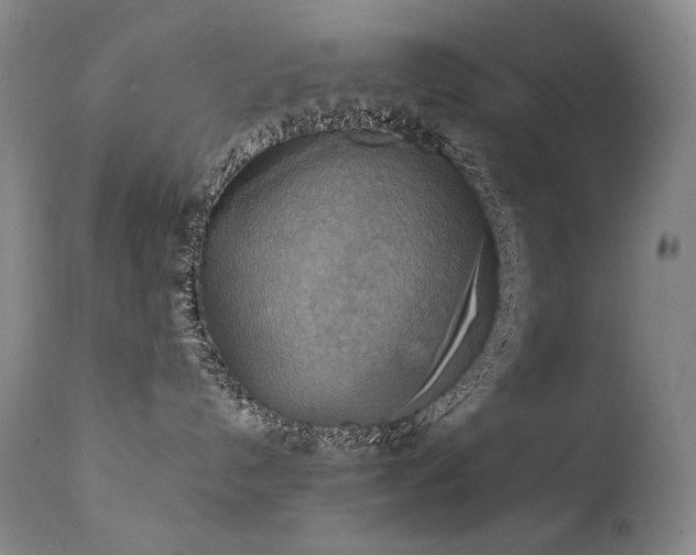 X0000111210192200907011454