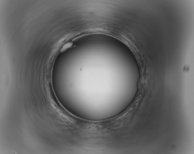 X0000111210193200907011453