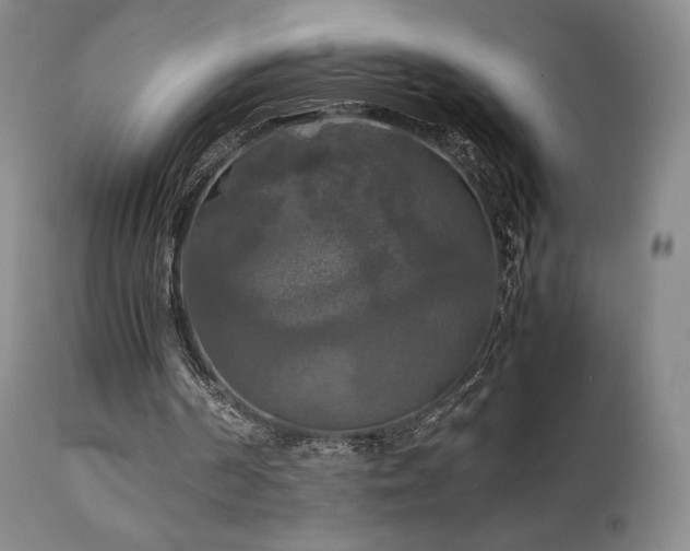 X0000111210194200907011453