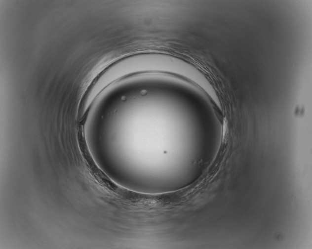 X0000111210195200907011453