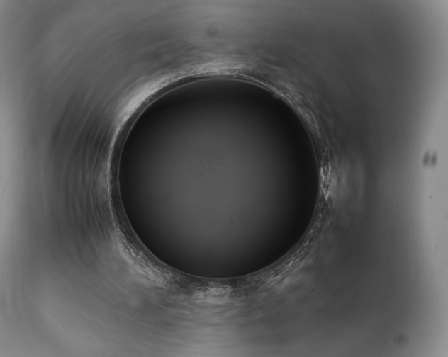 X0000111210196200907011453