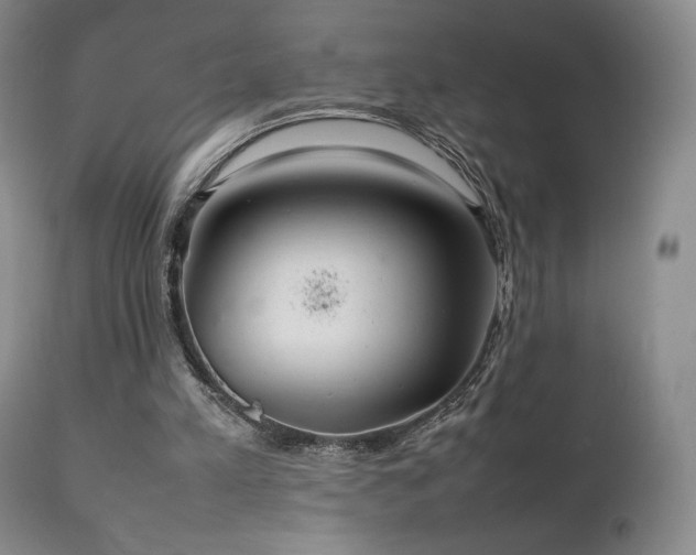 X0000111210197200907011453