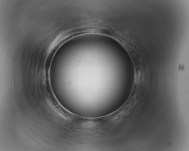 X0000111210198200907011453