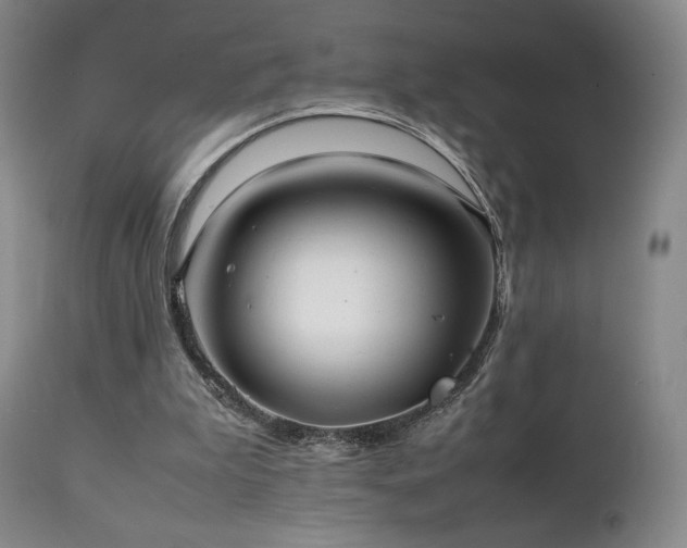 X0000111210199200907011453