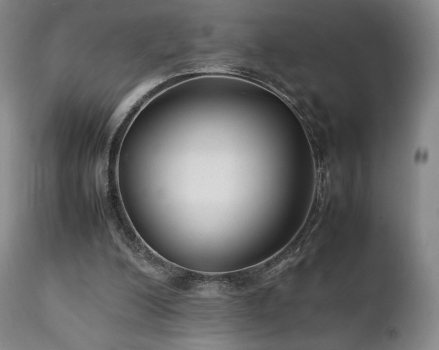 X0000111210200200907011453