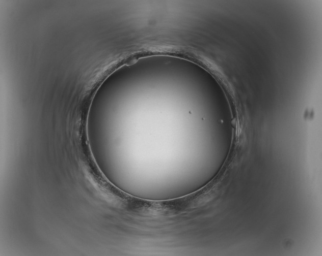 X0000111210201200907011453