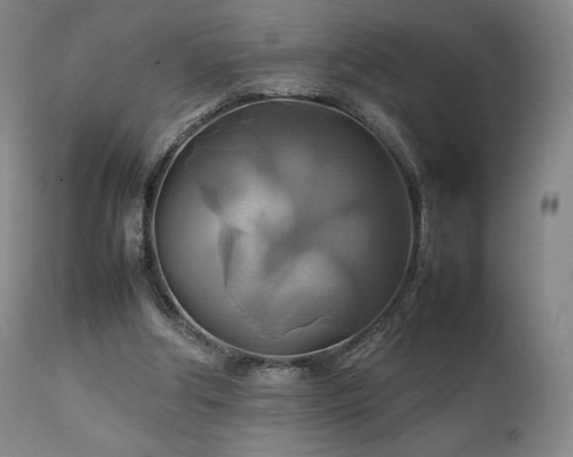 X0000111210202200907011453