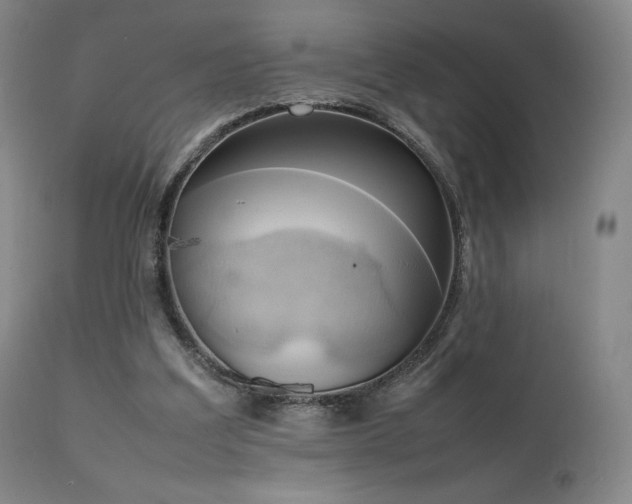 X0000111210203200907011453