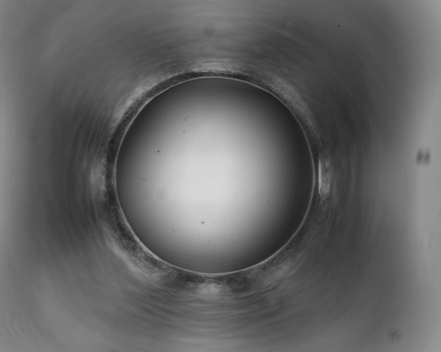 X0000111210204200907011453