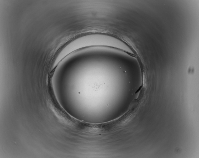 X0000111210205200907011453