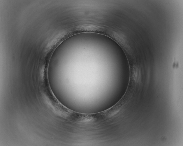 X0000111210206200907011453