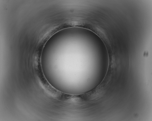 X0000111210210200907011453