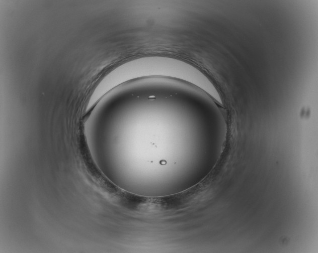 X0000111210211200907011453