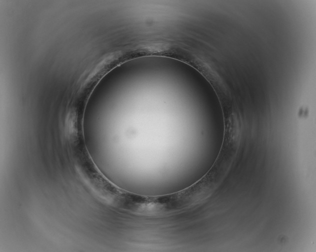 X0000111210212200907011453