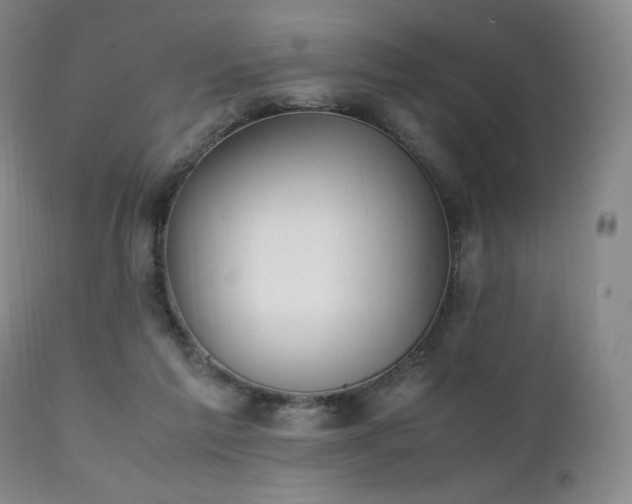 X0000111210213200907011453