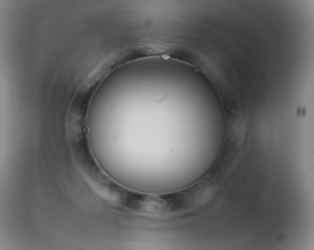 X0000111210215200907011453