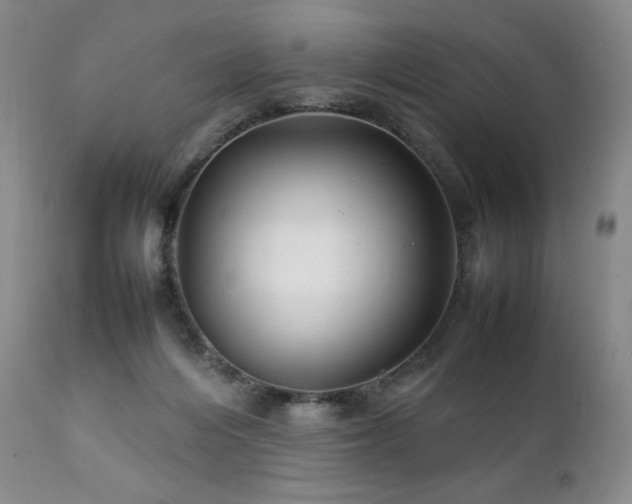 X0000111210216200907011453